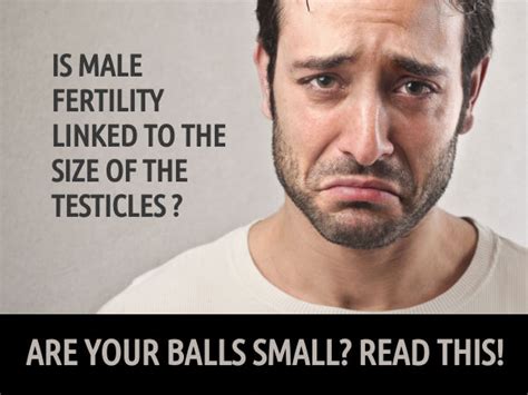 Big Testicles: What Does It Mean to Have Large Testicles or。